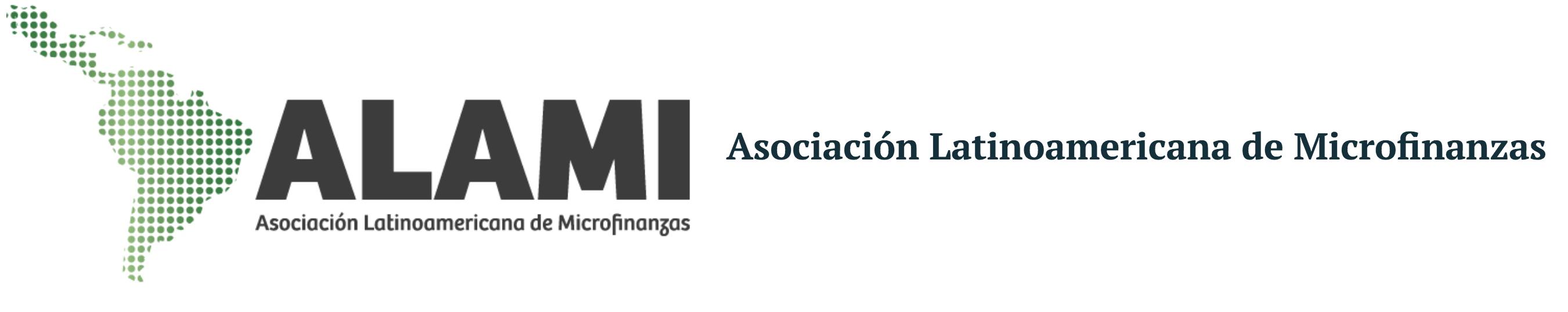 ALAMI presentó el sitio web de la Asociación internacional